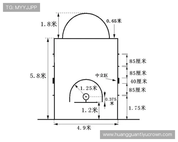 篮球回场规则差异：FIBA与NBA判定标准解析